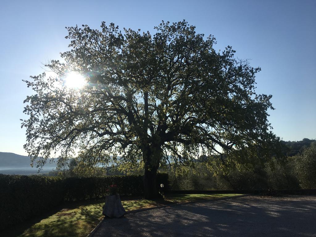 Agriturismo Pian Del Vescovo Масса-Мариттима Экстерьер фото